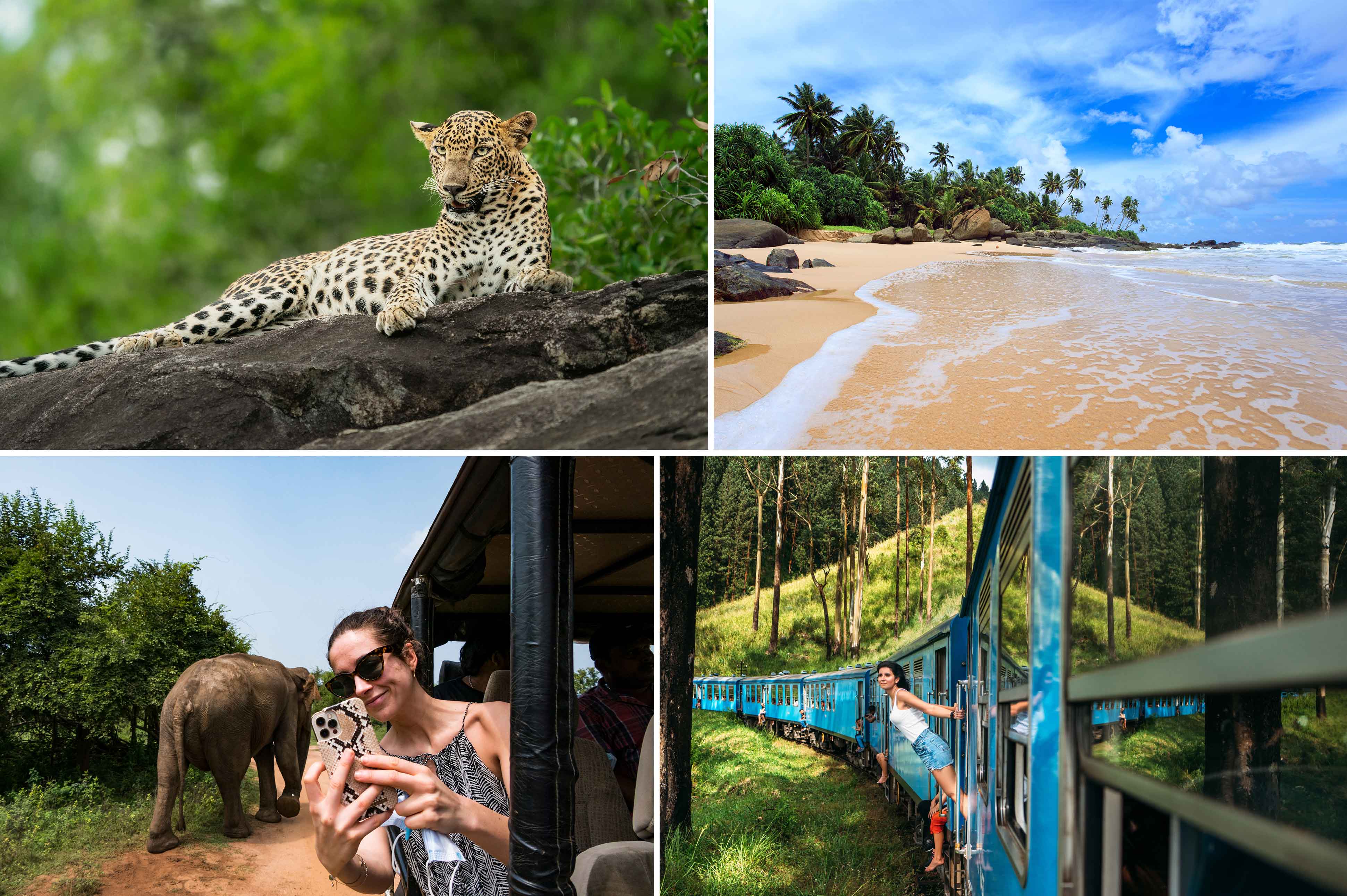 Best touring Company in srilanka. Amago tours