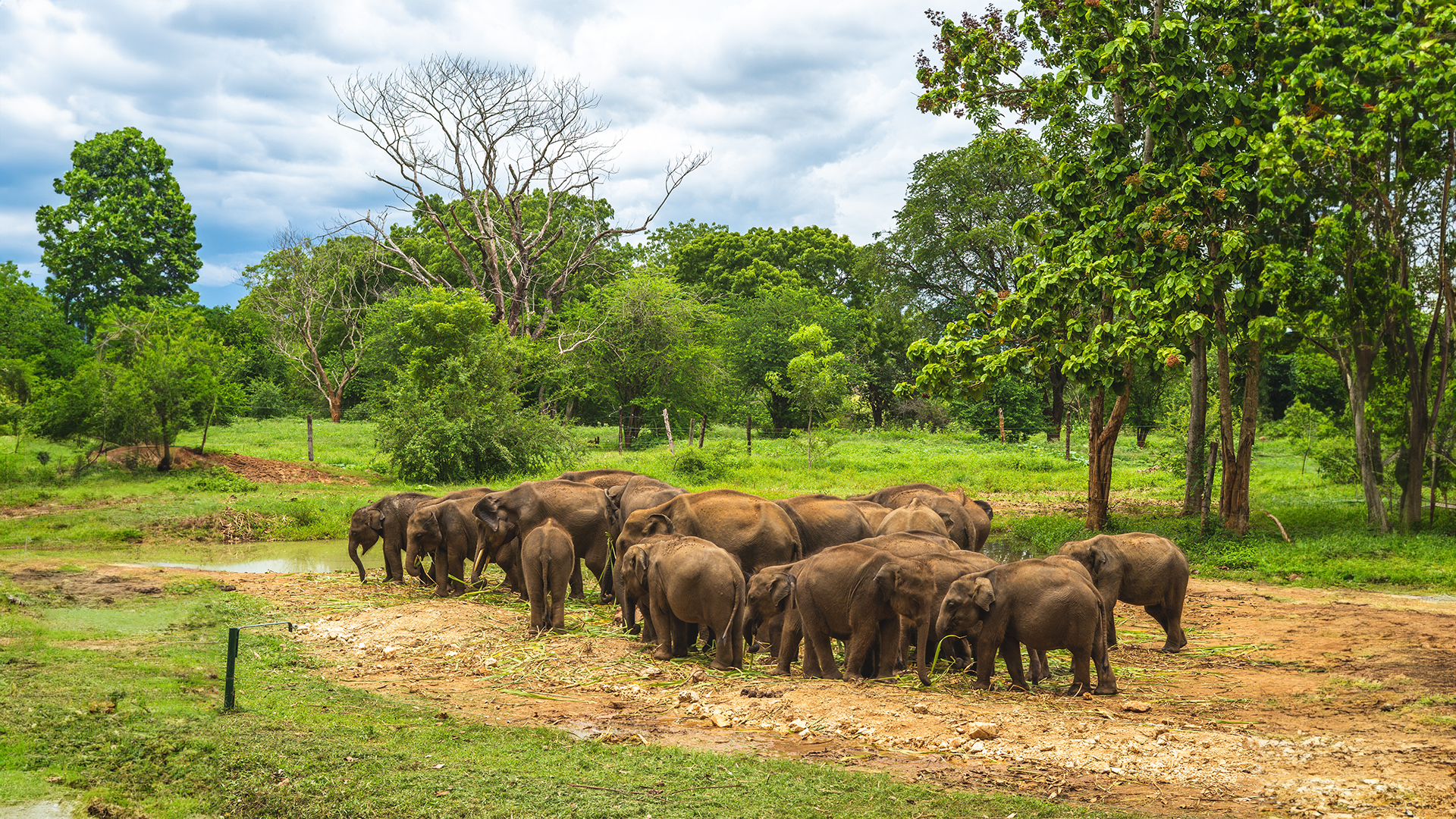 Dickwella Beach Amago tours Srilanka